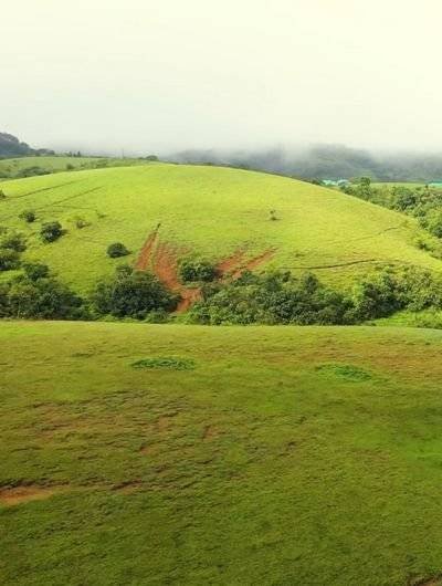 vagamon meadows